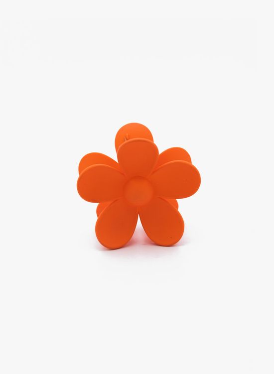 Haarklem flower orange